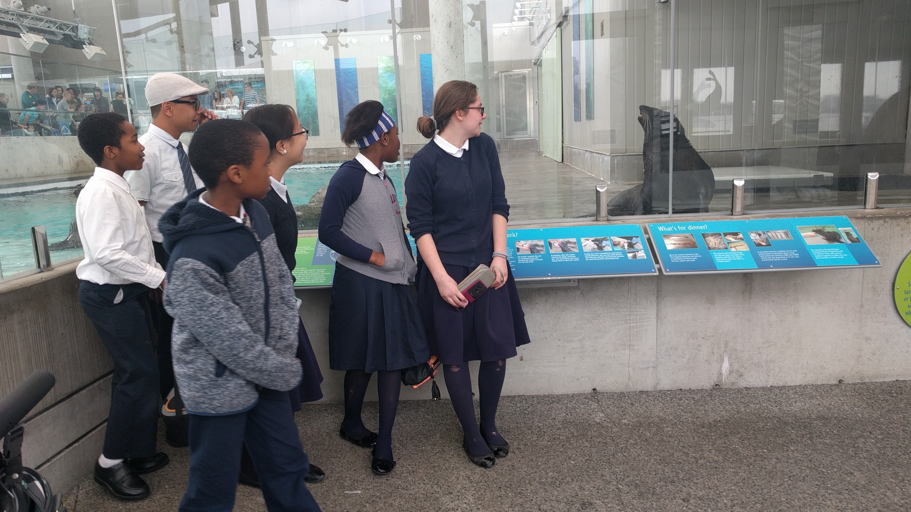 NECA students in school uniform watching a seal at the New England Aquarium during a field trip.