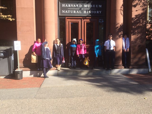 NECA students exploring exhibits at the Harvard Museum of Natural History.